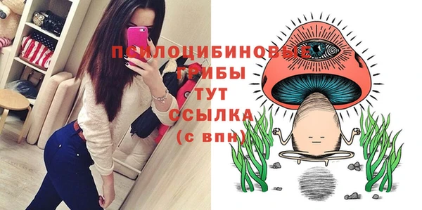 прущие крисы Арсеньев